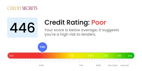 446 credit score